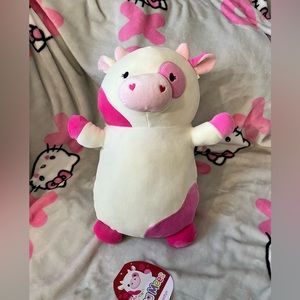14” Caedyn squishmallow hug me